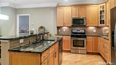 203 Center Meadow Ln in Danbury, CT - Building Photo - Building Photo