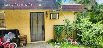 14004 Carmen Ct in Tampa, FL - Building Photo