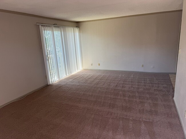 property at 467 Ballantyne St