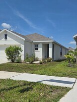 17007 Blister Wing Dr in Wimauma, FL - Building Photo