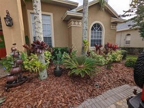 10532 Cory Lake Dr in Tampa, FL - Building Photo - Building Photo