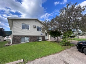 263 Orrin St in Winona, MN - Building Photo