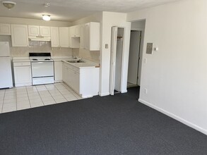 220 Parker Hill Ave, Unit 2 BED Sept1 in Roxbury Crossing, MA - Building Photo - Building Photo