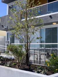 1545 S Fairfax Ave in Los Angeles, CA - Building Photo - Building Photo