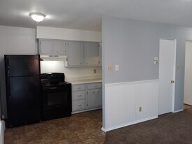 303 S Vine St, Unit 1 in O'Fallon, IL - Building Photo