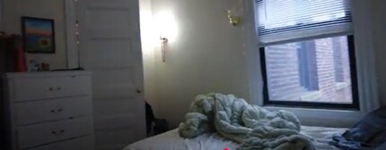 80 Chester St in Boston, MA - Building Photo - Building Photo