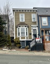 160 Pleasant St in St John's, NL - Building Photo
