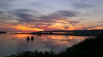 Harbor Side Apartments in Blaine, WA - Building Photo - Building Photo