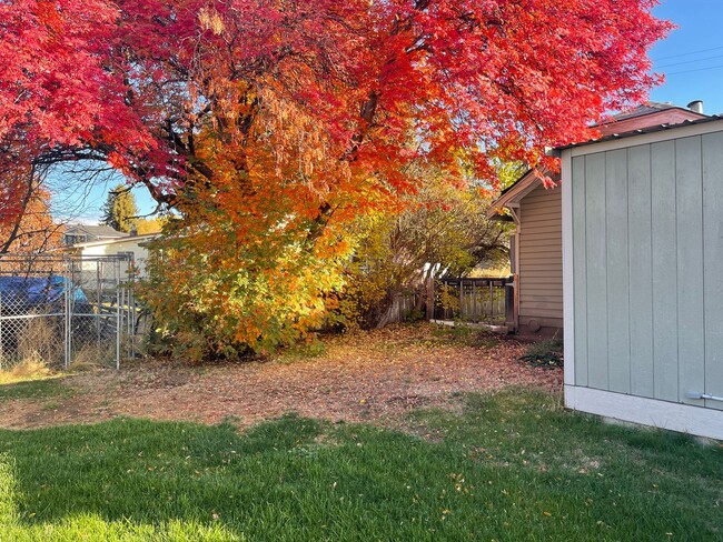 1007 N Willow St in Ellensburg, WA - Building Photo - Building Photo