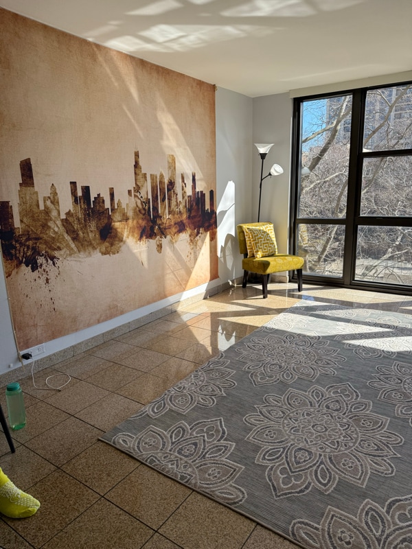 property at 2901 S Michigan Ave