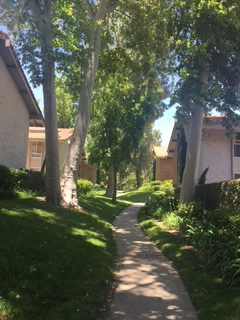 31535 Lindero Canyon Rd in Westlake Village, CA - Building Photo - Building Photo