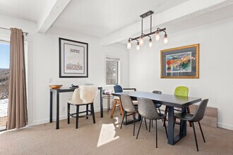 55 Upper Woodbridge Rd in Snowmass Village, CO - Building Photo - Building Photo
