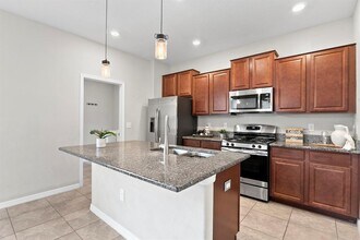 17402 Cruiser Bnd in Land O Lakes, FL - Building Photo - Building Photo