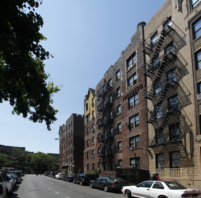 1 Saint Paul's Ct in Brooklyn, NY - Building Photo - Building Photo