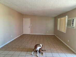 6553 Desert Queen Ave in Twentynine Palms, CA - Building Photo - Building Photo