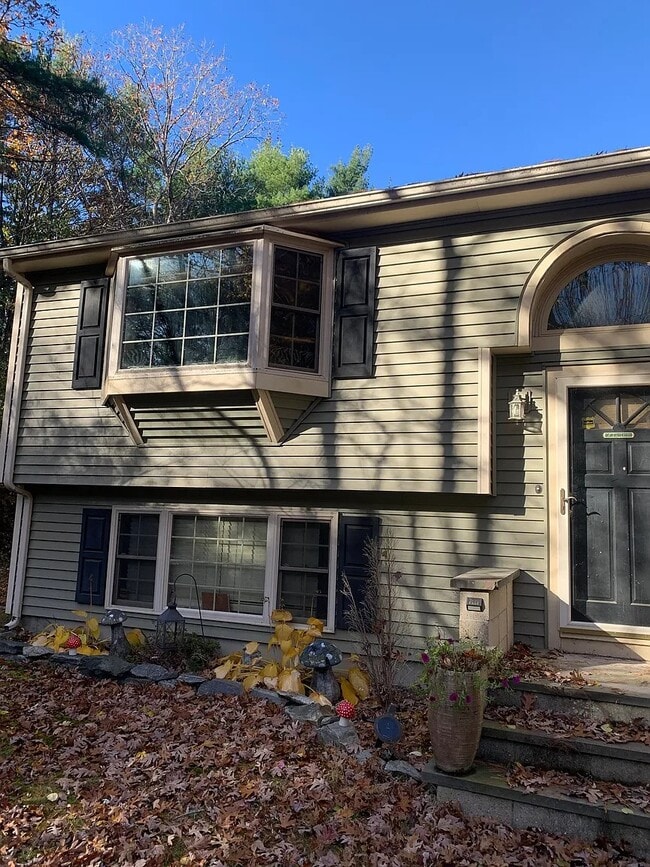 19 Pine St in Sharon, MA - Building Photo - Building Photo