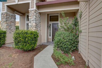 5171 Keller Ridge Dr in Clayton, CA - Building Photo - Building Photo