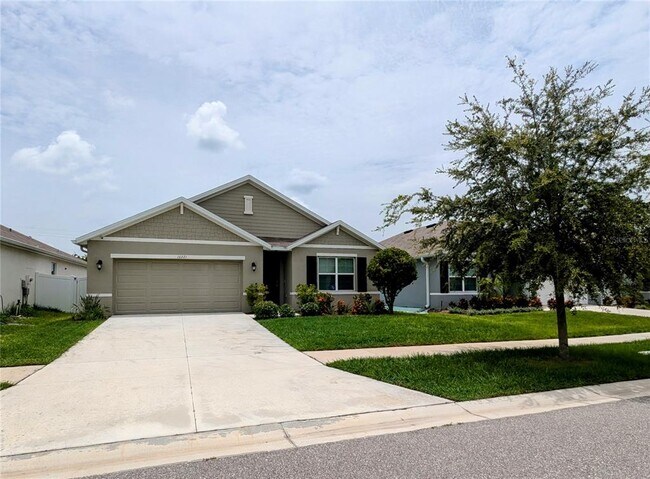 10221 Opaline Sky Ct in Riverview, FL - Building Photo - Building Photo