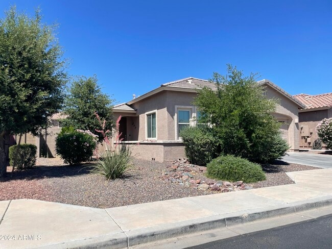 3822 E Desert Broom Dr