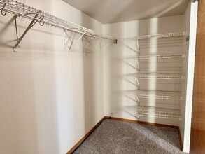 7724 Amberly Dr in Colorado Springs, CO - Foto de edificio - Building Photo