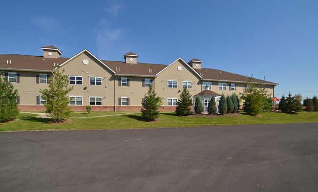 Nelson Hopkins Apartments photo'