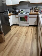 293 Hiscock St, Unit 1 in Ann Arbor, MI - Building Photo - Building Photo