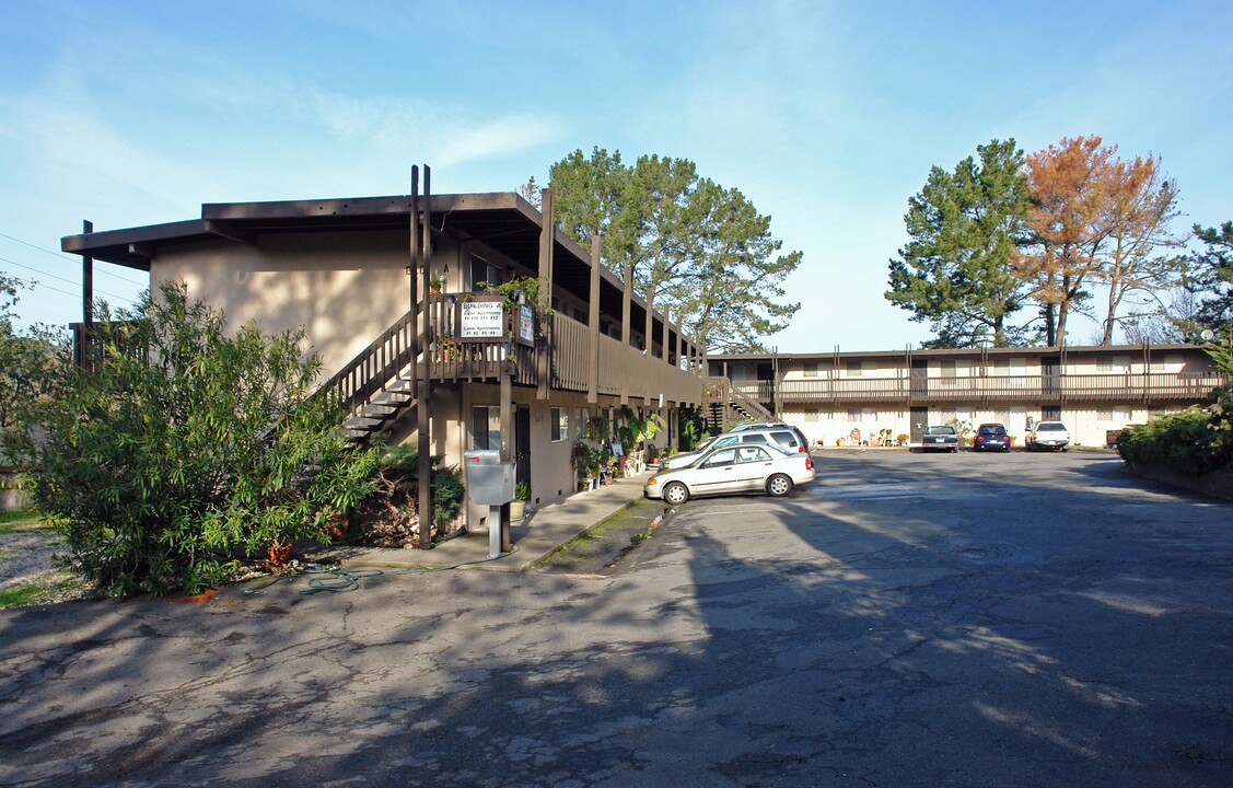 Hidden Knolls Apartments in San Rafael, CA - Building Photo