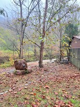 2634 Cedar Creek Rd in Lake Lure, NC - Building Photo - Building Photo
