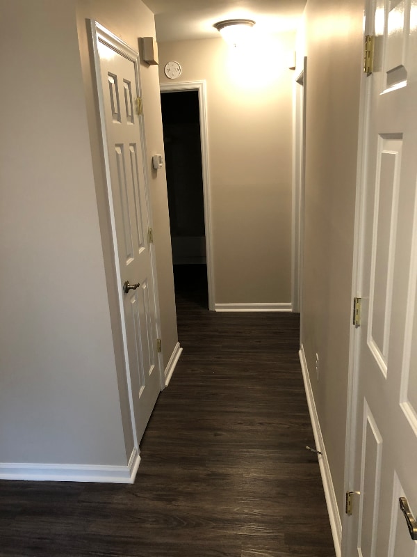 5204 Amity Springs Dr in Charlotte, NC - Building Photo - Building Photo