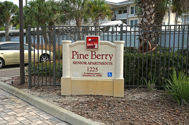 Pine Berry Senior in Clearwater, FL - Building Photo - Building Photo