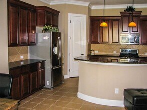 14562 San Pietro Dr in Houston, TX - Building Photo - Building Photo