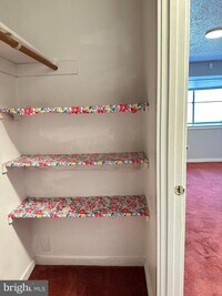 419 Shawmont Ave photo'