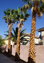 5520 Anticipation Ct in Las Vegas, NV - Building Photo - Building Photo