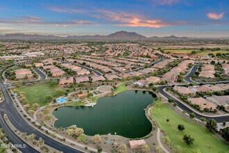 3938 E Ficus Way in Gilbert, AZ - Building Photo - Building Photo