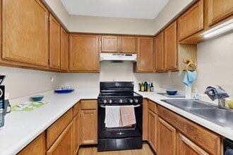 405 Zena Lona St NE in Albuquerque, NM - Building Photo - Building Photo