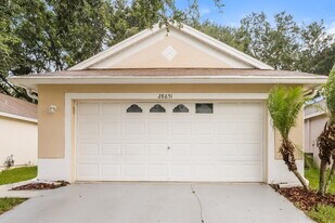 28651 Seashell Ct in Wesley Chapel, FL - Building Photo