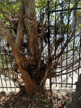 1850 La Brea Ave in Los Angeles, CA - Foto de edificio - Building Photo