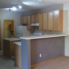 13040 Europa Trail Way N in Hugo, MN - Building Photo - Building Photo