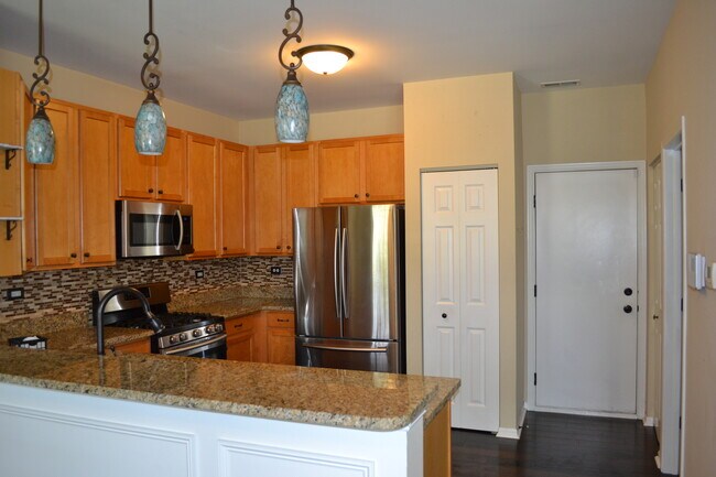 242 Springbrook Trail S in Oswego, IL - Building Photo - Building Photo