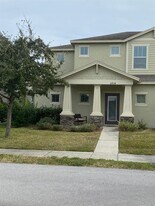 6934 Frog Pocket Pl in Tampa, FL - Building Photo