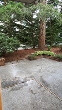 1461 Rainier Ct in Fircrest, WA - Building Photo - Building Photo