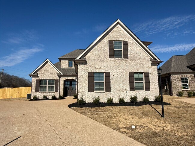 9674 Ryder Spgs Dr in Cordova, TN - Foto de edificio - Building Photo