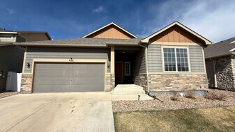 456 Stonebrook Dr in Windsor, CO - Building Photo