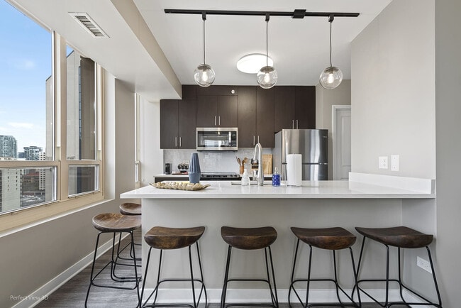 45 E Chicago Ave in Chicago, IL - Building Photo - Building Photo
