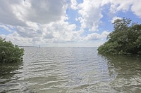 Apartments in Bradenton, FL