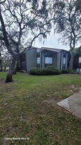 12025 Proctor Loop in New Port Richey, FL - Building Photo