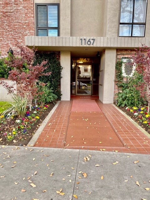 1167 S Roxbury Dr in Los Angeles, CA - Building Photo