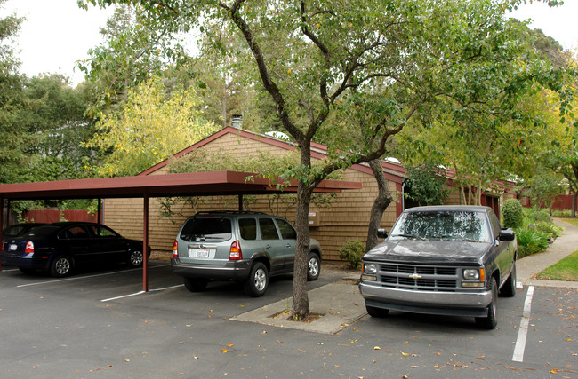 1583 Neotomas Ave in Santa Rosa, CA - Foto de edificio - Building Photo