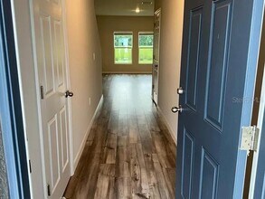 7959 Peace Lily Ave in Wesley Chapel, FL - Building Photo - Building Photo
