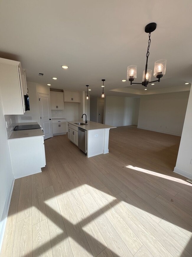 property at 205 Cave Lk Dr